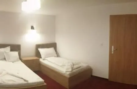 Guest house Pensiunea Rosenau 3*