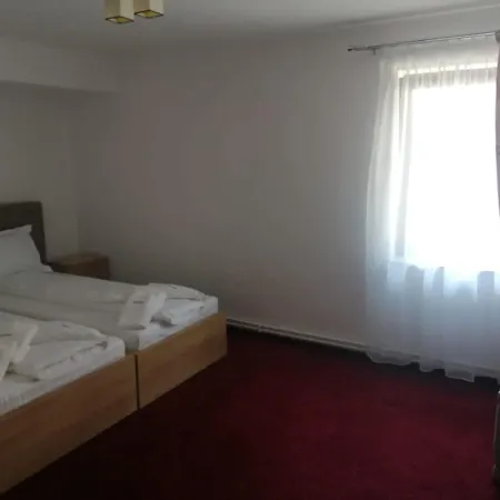 Guest house Pensiunea Rosenau Risnov
